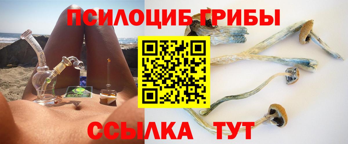 Коломна  дарнет шоп  Вход с VPN  Галлюциногенные грибы Cubensis 