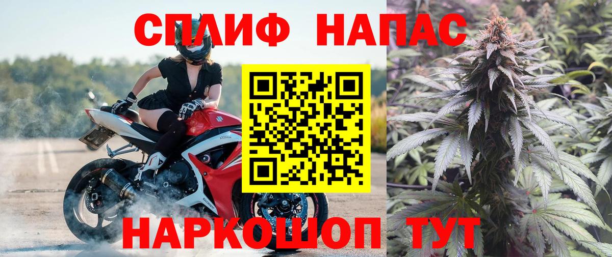Канабис сатива Коломна